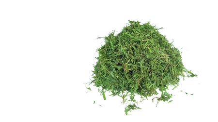 Cut out grass clippings from a lawnmower, set against a white background, with clipping paths to capture the texture and fragments for seamless integration into design projects.の写真素材