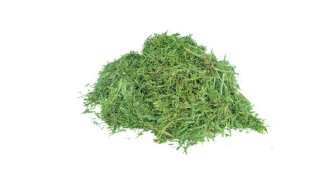 Cut out grass clippings from a lawnmower, set against a white background, with clipping paths to capture the texture and fragments for seamless integration into design projects.の写真素材