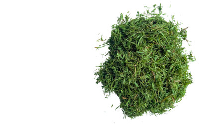 Cut out grass clippings from a lawnmower, set against a white background, with clipping paths to capture the texture and fragments for seamless integration into design projects.の写真素材