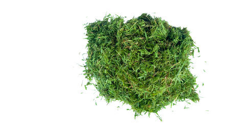 Cut out grass clippings from a lawnmower, set against a white background, with clipping paths to capture the texture and fragments for seamless integration into design projects.の写真素材