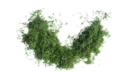 Cut out grass clippings from a lawnmower, set against a white background, with clipping paths to capture the texture and fragments for seamless integration into design projects.の写真素材