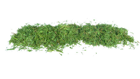 Cut out grass clippings from a lawnmower, set against a white background, with clipping paths to capture the texture and fragments for seamless integration into design projects.の写真素材