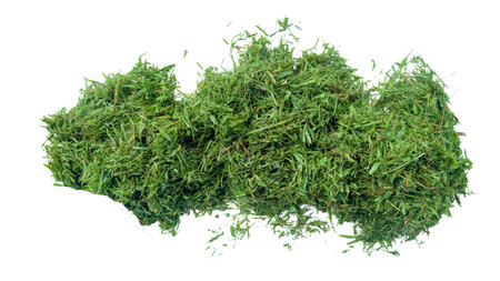 Cut out grass clippings from a lawnmower, set against a white background, with clipping paths to capture the texture and fragments for seamless integration into design projects.の写真素材