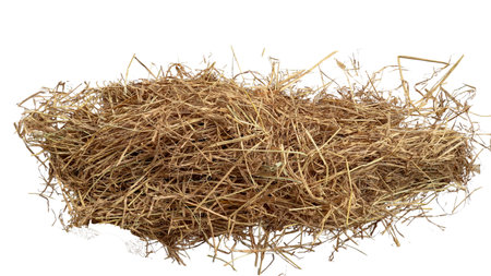 cut out image of lump of dry straw with clipping paths, against white background, highlighting the texture and individual strands for versatile design applications.の写真素材