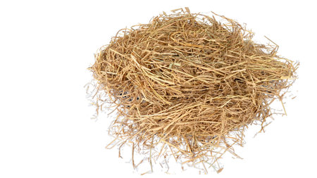 cut out image of lump of dry straw with clipping paths, against white background, highlighting the texture and individual strands for versatile design applications.の写真素材