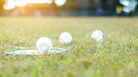 A badminton racket and shuttlecock resting on a grassy field, symbolizing the joy of outdoor sports, healthy living, and the importance of recreational activities to build fitness and bonds.の写真素材