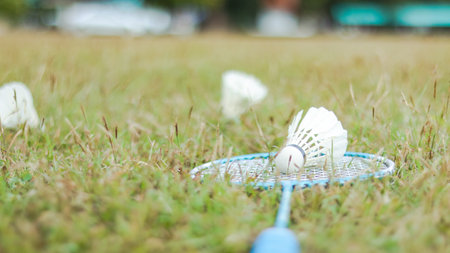 A badminton racket and shuttlecock resting on a grassy field, symbolizing the joy of outdoor sports, healthy living, and the importance of recreational activities to build fitness and bonds.の写真素材