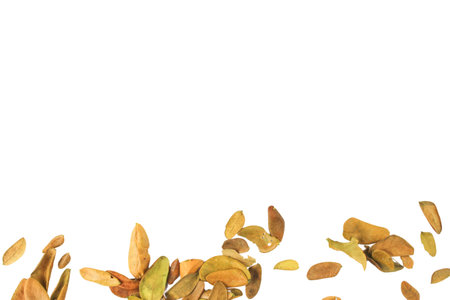 Cutout of leaf texture background with copy space and clipping paths on white background. Ideal for graphic design, card making, and nature themed creative projects.の写真素材