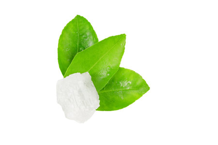 Pieces of alum stone on green leaf against white background. This image emphasizes the connection between natural minerals and plant based ingredients in traditional practices and holistic wellness.の写真素材
