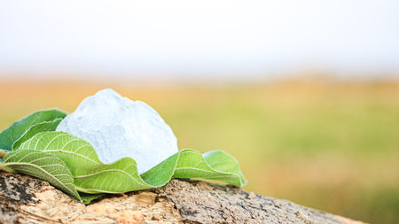 Pieces of alum stone on green leaf against blurred background. The connection between natural minerals and plant based ingredients in traditional practices and holistic wellness.の写真素材