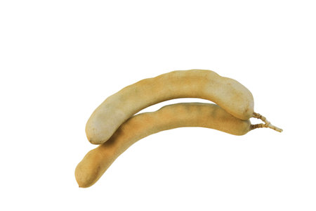 Cutout sour tamarind with clipping paths on white background. Fresh pods are used in cooking to add sourness, mature pods are used to make tamarind paste.の写真素材
