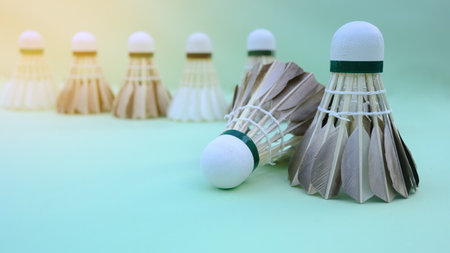 A dark colored shuttlecock resting on a light green surface, with a soft focus background creating depth.の写真素材