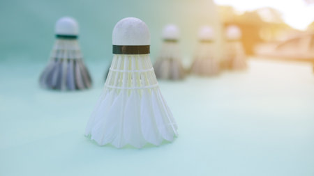 A dark colored shuttlecock resting on a light green surface, with a soft focus background creating depth.の写真素材