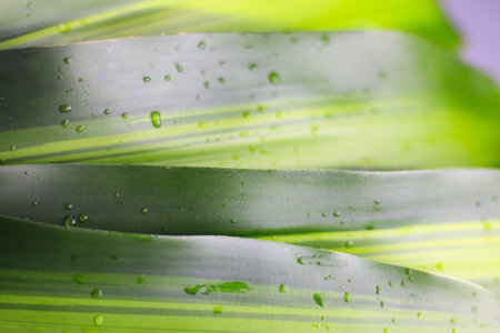 Bright and colorful leaf background, symbolizing freshness, renewal, and the beauty of nature.の写真素材