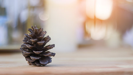 Blurred pine cone on wooden table with blurred sun light in backgroundの写真素材