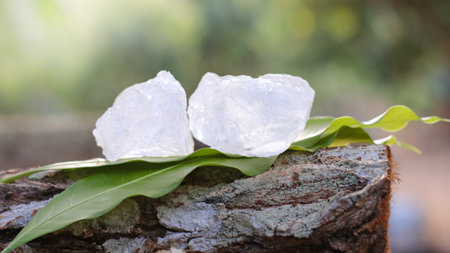 Crystal clear alum cubes or Potassium alum in on green leaves chemical compound substance concept for beauty spa and underarm treatment industrialの写真素材