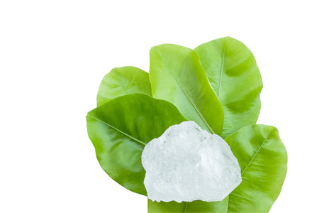 Crystal clear alum cubes or Potassium alum in on green leaves chemical compound substance concept for beauty spa and underarm treatmentの写真素材