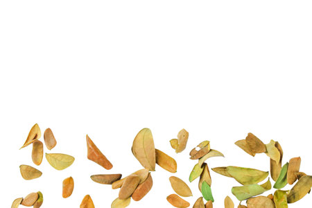 A cutout of a dried leaf with clipping paths, symbolizing change, the passage of time, and the beauty of decay.の写真素材