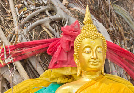 Clouse up of Golden Lord Buddha under banyan treeの写真素材
