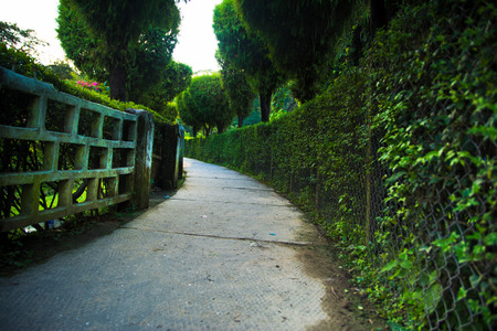 Park Pathの写真素材