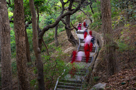 Path way to Buddha Stupa