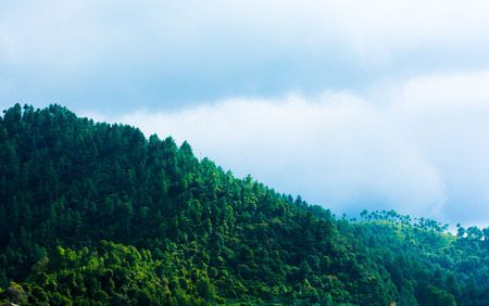 Forest Hill from Nepal