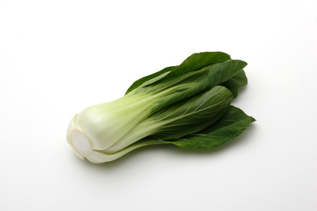 bock choyの写真素材