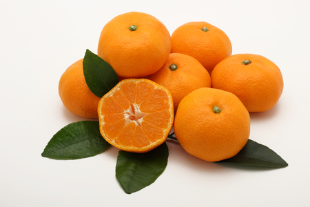 Mandarin orange fruitの写真素材
