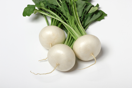 Turnipの写真素材