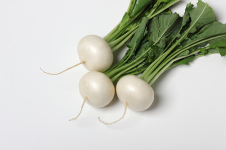 Turnipの写真素材