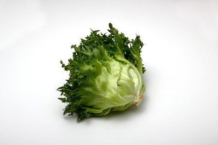 Frillettuceの写真素材