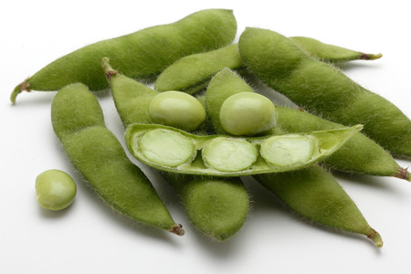green soy beans, vegetable seeds on white background,の写真素材