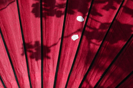 Cherry blossoms in Japan. Beautiful pink cherry blossoms, red umbrellasの写真素材