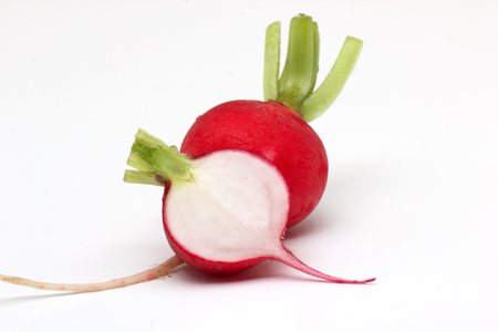 Small radish isolated on white backgroundの写真素材