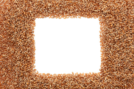 Wheat, grain backgroundの写真素材
