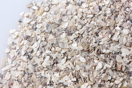 Oyster shell, oyster shell crushedの写真素材