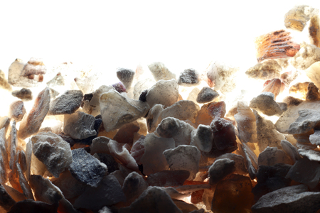 Oyster shell, oyster shell crushedの写真素材