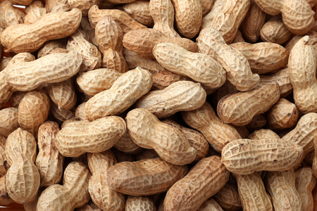Dried peanuts on white background