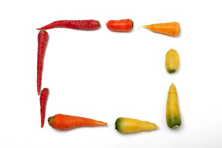 colorful carrot on the White Backgroundの写真素材