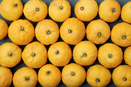 Yellow citrus fruit in a rowの写真素材
