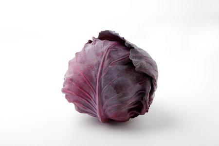 Fresh red cabbage on white backgroundの写真素材