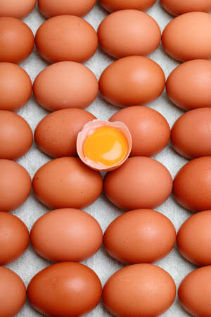 Eggs, chicken eggs as background