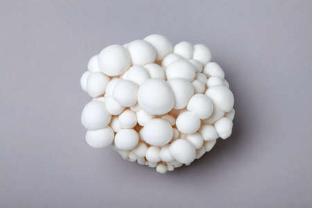 Also known as bnapisimedji, white beech meji and white clamshell mushrooms