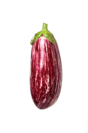 Round Eggplantの写真素材