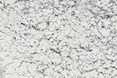 white marble texture background pattern with high resolution. High resolution photo.の写真素材