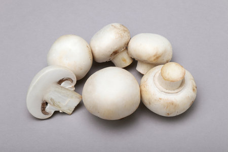White mushrooms on gray backgroundの写真素材