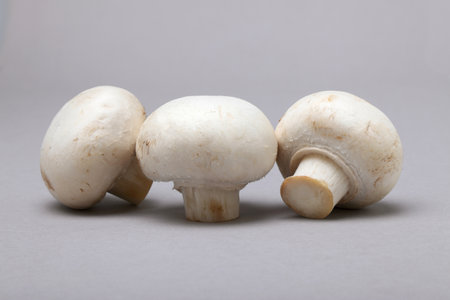 White mushrooms on gray backgroundの写真素材