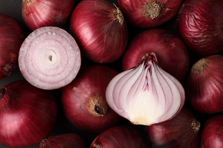 Close up of red onion bulbの写真素材