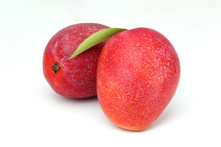 A close-up image of a ripe mangoの写真素材