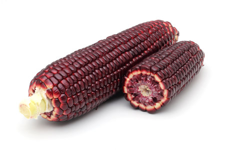 Purple corn isolated on white backgroundの写真素材